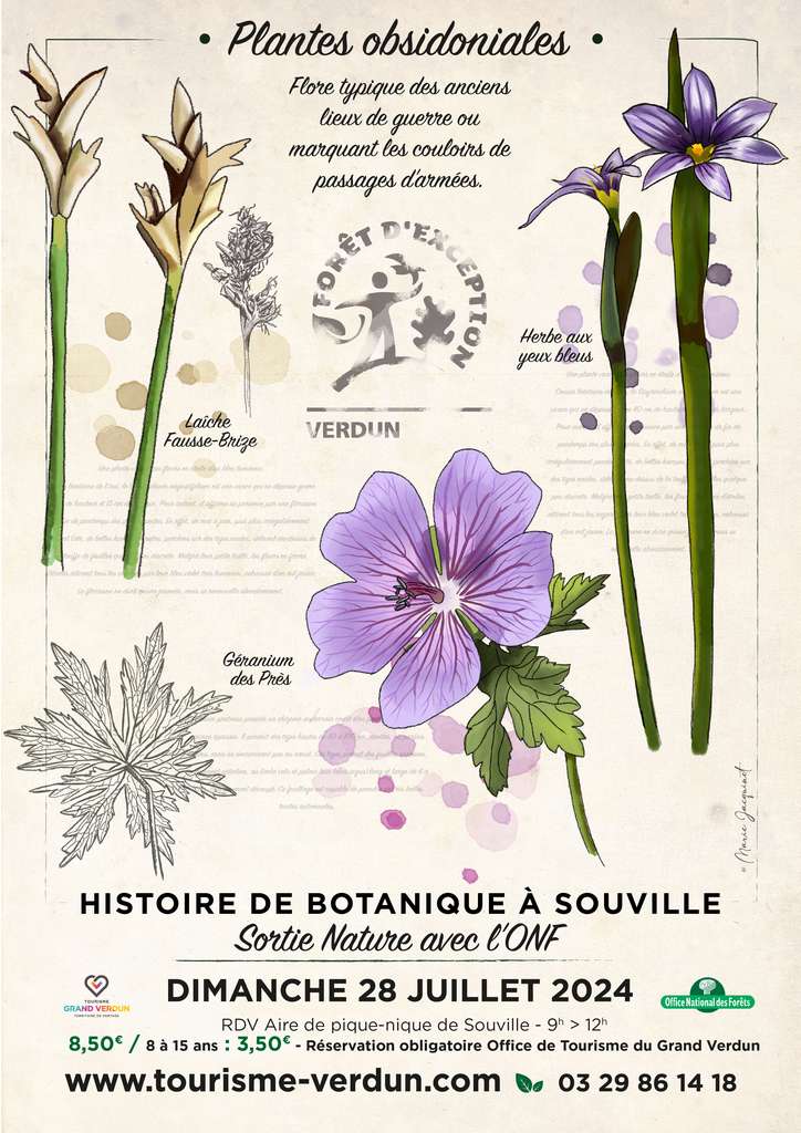 Les Forêts de l’Histoire 14-18 : Histoire de botanique à Souville