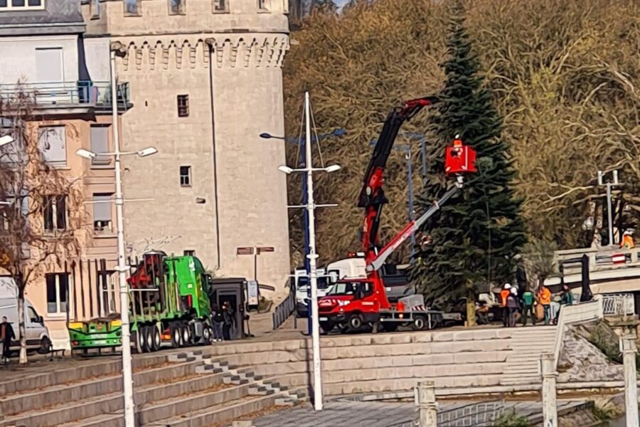 Le sapin de Noël est arrivé !